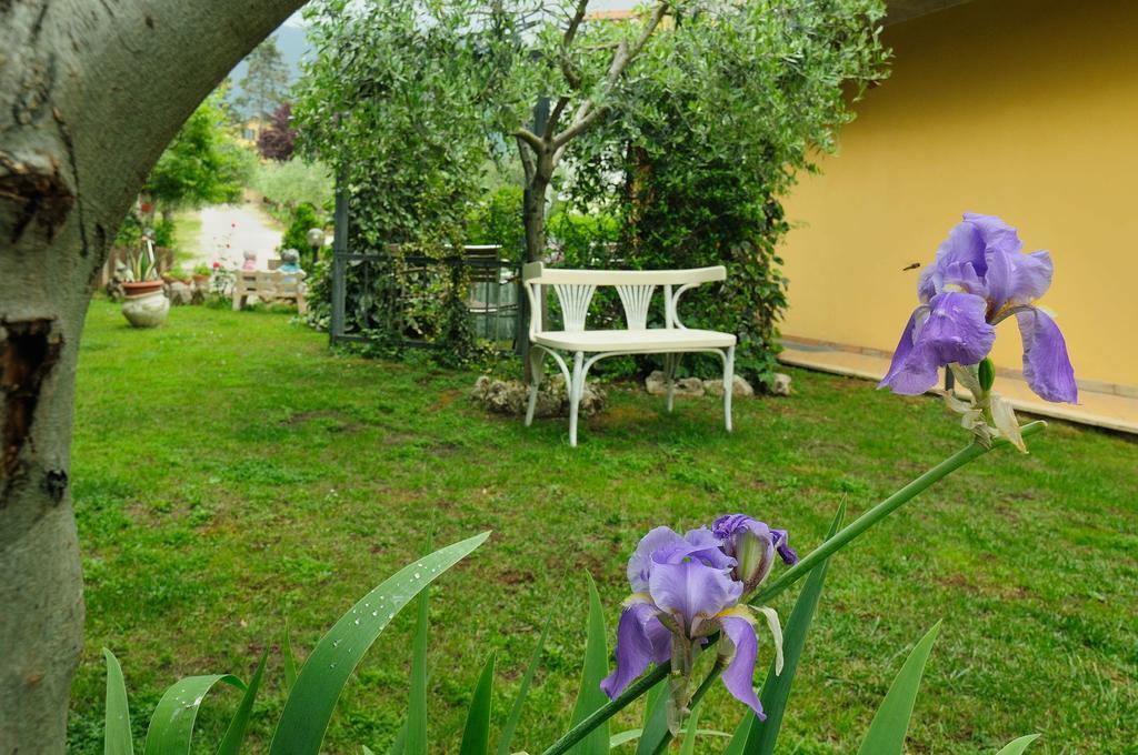 リヴォトルト Residenza Cieloterraゲストハウス エクステリア 写真